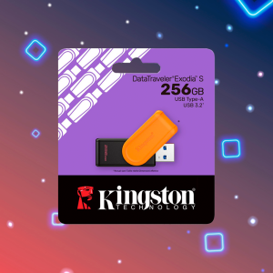 Flash Memory DataTraveler Exodia S 256GB